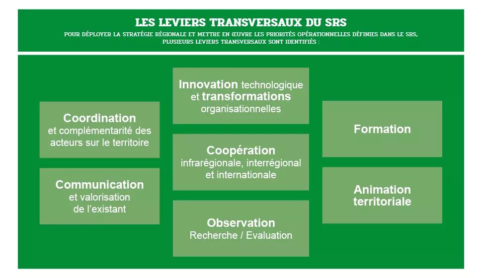 SRS TABLEAU 6