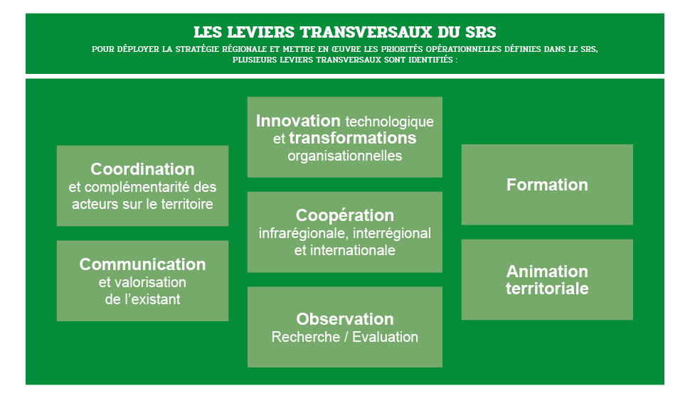 SRS TABLEAU 6